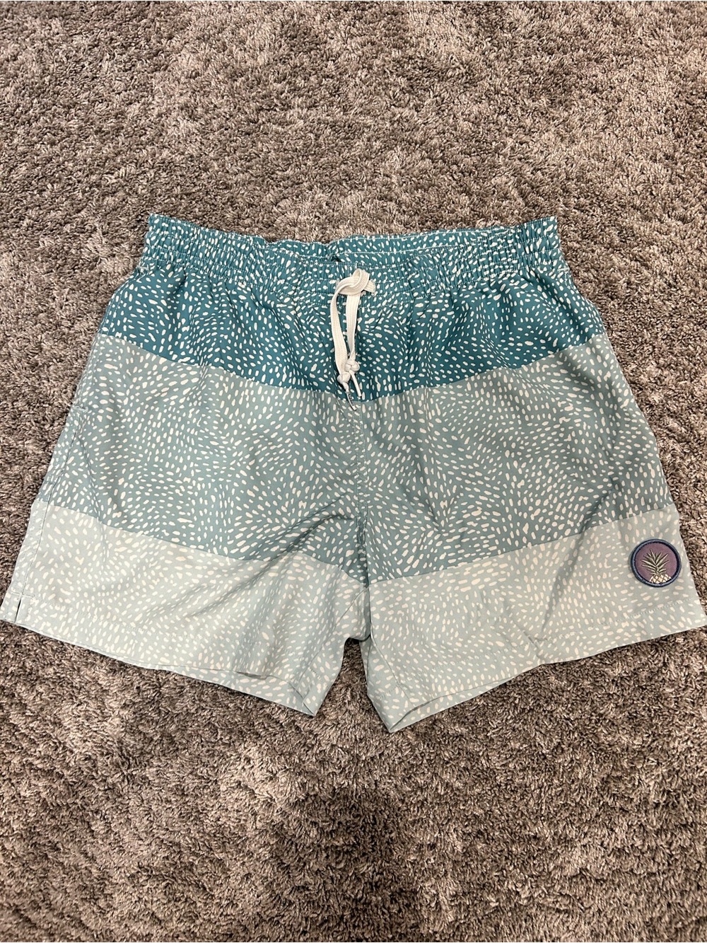 chubbies Teal and Light Blue Patterned Classic Swim Trunks 5.5”